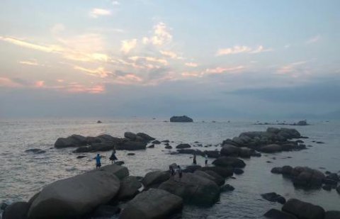 星光娱乐股权激励：初创企业股权激励如何做？